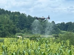 <b><b>县级以上带领粮食出产示范样板点8个</b></b>