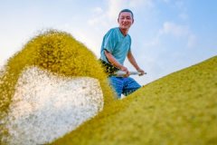 <b><b>打制绿色杂粮、肉牛奶牛、中药材、食用菌、优</b></b>